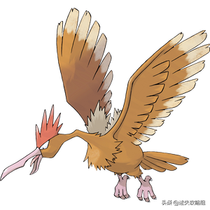 大嘴雀：我距离凤王只差一个摄影机「迷失攻略组」