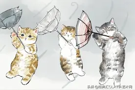 喵喵日常：可爱猫猫的上班日常图片