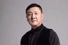 老艺术家韩磊被举报偷税漏税，意外让薪酬曝光！唱一首歌能赚85万图片