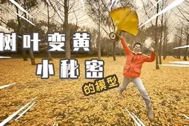 树叶变黄的小秘密是什么？让我们打开模型瞧一瞧图片