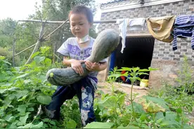 爸爸去世，妈妈瘫痪，留下6岁孩子顽强求生，独自照顾重病妈妈图片