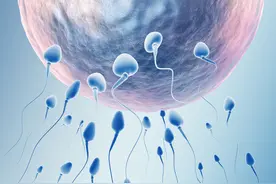 男性无精子到底是什么原因？图片