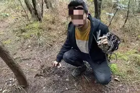 大胆！男子在家无事可做，捕获2只野生果子狸食用！图片