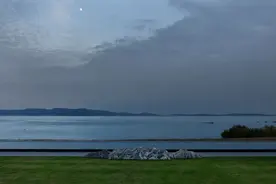 苏州太湖-雁归来图片