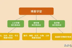 了解强基计划，报考北京大学！图片