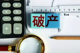 江西赛维4家公司的破产之路图片
