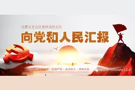 刘雪峰：奋力转型强能的“实干家”图片