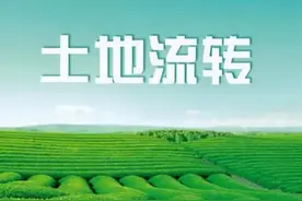 土地新规，承包土地3种情况收归集体，流转5种情况可收回，为啥？图片