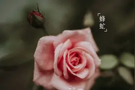 成熟的人，可以有情绪，不能闹情绪图片