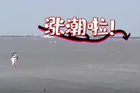 “别亲啦！涨潮啦！”保安老章把情侣劝上岸图片