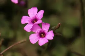 真正厉害的人，善于利用别人图片