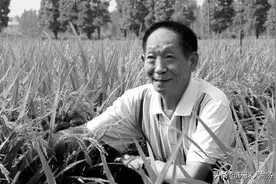 专访袁隆平秘书、学生：最后时光他始终没说过“痛”字，梦呓都在说杂交水稻图片