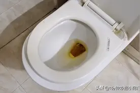 马桶堵了？只需用一个塑料瓶，几下就能快速疏通，不用花钱太棒了图片