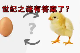 先有鸡还是先有蛋？答案早就揭晓了，你还不知道？图片
