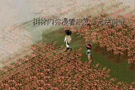 《仙剑》被无数玩家错过的桃源村，多年后才得知寿葫芦是酒神法器图片