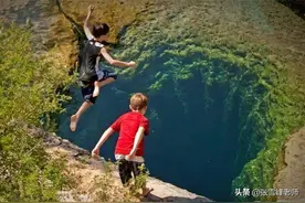 被蜜蜂蛰哪里最疼？鲨鱼攻击人时只咬一口？奇葩脑洞有人帮你验证图片