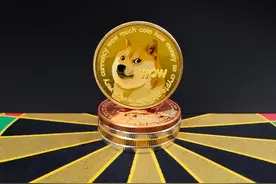 狗狗币“追星场”：有人握7万枚赌涨，大V收费万元群推潜力币图片