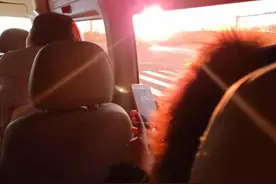 聊聊带狗长途自驾的囧事，都在车里发生了什么？图片