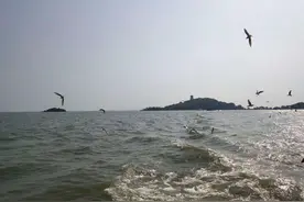 手机随拍四处都是风景图片