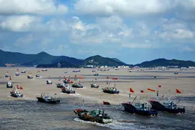 舟山群岛1390座海岛，玩过这5个岛就完美。详细旅游攻略送给你们图片