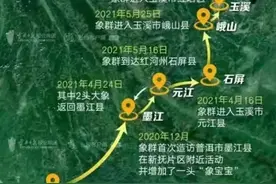 象群北迁，降雨线北移，大陆国家的盛世来了图片