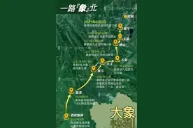 象群北迁，降雨线北移，大陆国家的盛世来了图片