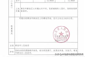 省里批复！黄岛这些村被征地图片