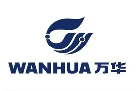 骑虎难下！搞石化，建核电，山东最赚钱企业玩的有点大图片