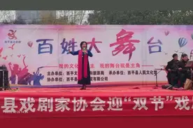 弘扬传统文化 传承戏曲精髓 西平县举办戏曲公益演出活动图片