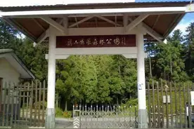 福州一公园闭园谢客近三年，还有重开日吗？图片