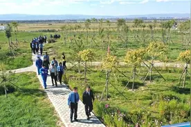 这个生态公园，半年前是个贮灰场图片