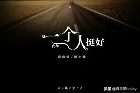 杨小壮-一个人挺好(DJheap九天 Remix)图片