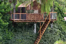 爷爷为孙子设计的树屋｜生态建筑图片