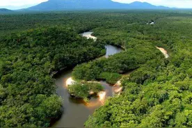 亚马逊雨林看起来是绿色天堂，实则是人类禁区，到底有多恐怖？图片