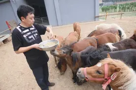 青曲社内讧是谁的锅？德云社谦儿大爷的睿智王声还有得学图片