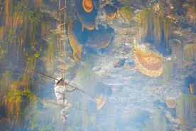 镜头下的喜马拉雅山采蜜人，顶级雪山蜂蜜，专供给尼泊尔皇室享用图片