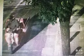 西安新城警方：小井盖大风险，偷井盖＝挖陷阱图片