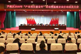 芦淞区2020年将完成重点项目年度投资130亿元以上图片