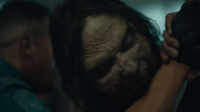 9.0变5.3，粉圈别再祸害他吧