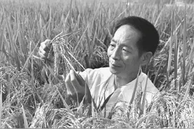 新华社评袁隆平逝世：江山思国士，人去稻田丰图片