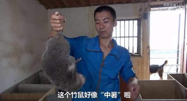 鸡皮疙瘩2在线观看带字