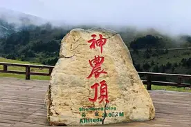 五大发电集团，能否合并？图片