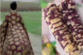 有一种撞衫，叫做跟东西撞衫了，哈哈哈笑晕在厕所图片