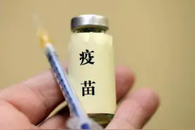 重磅！美国非洲猪瘟疫苗或将明年上市图片