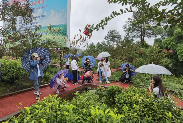 航拍旺苍美丽乡镇，云雾笼罩像是披上了一层轻纱，似仙女下凡