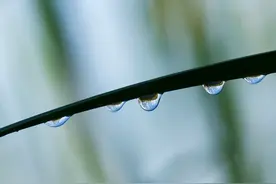 见或不见，你此生都在我心里图片