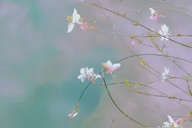 出轨了多年，老公也没有发现，是他太愚蠢了吗？52岁女人这样说图片