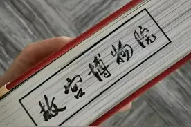 吉虎迎新岁，山河庆升平图片