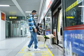 比大熊猫还少的导盲犬：一只花费20万，公益组织负责人自嘲从富婆变穷光蛋图片