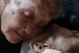 温馨丨100岁奶奶贴脸陪伴98岁爷爷图片